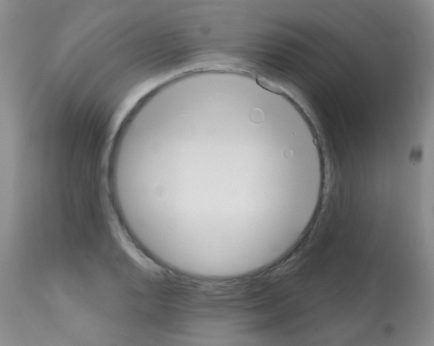 X0000113081128200910091225