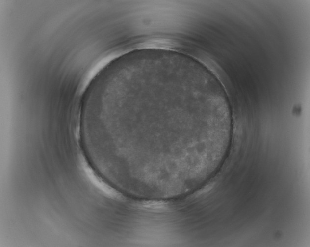 X0000113081131200910091225