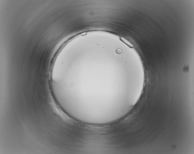 X0000113081132200910091225