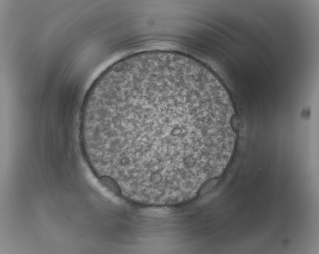 X0000113081134200910091225