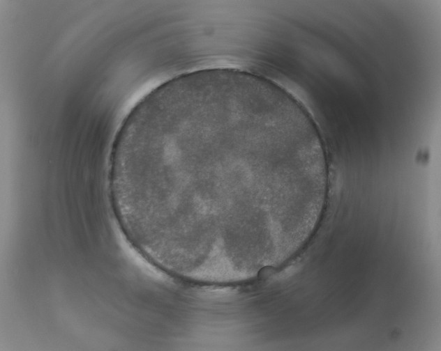X0000113081135200910091225