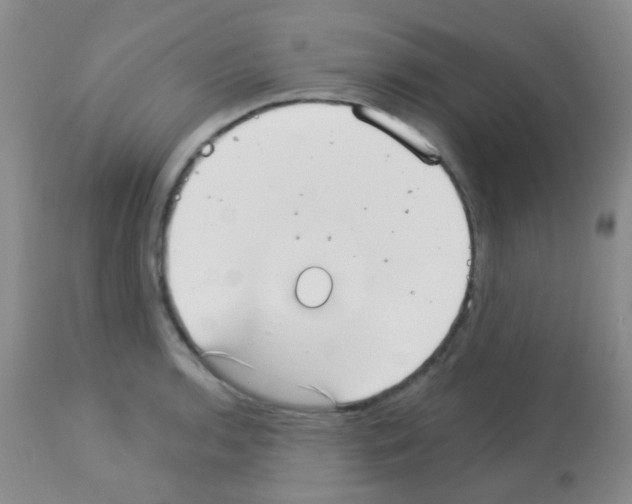 X0000113081136200910091225