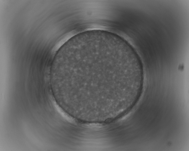 X0000113081137200910091225