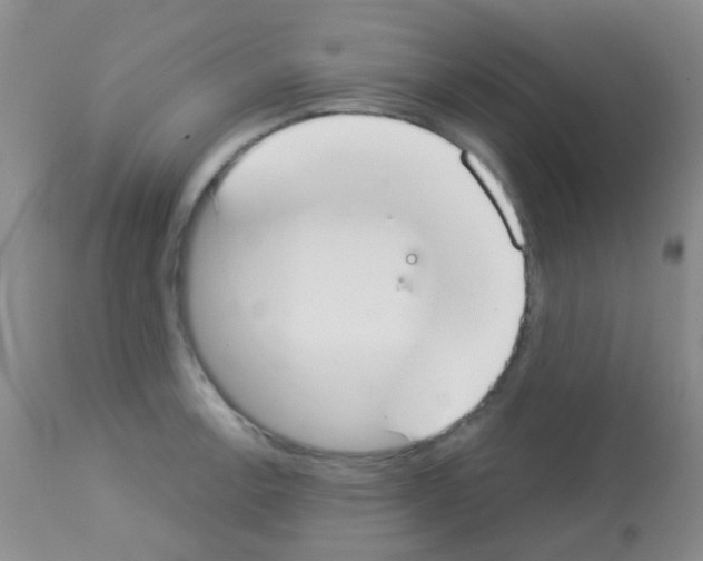 X0000113081138200910091225