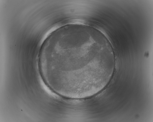 X0000113081139200910091226