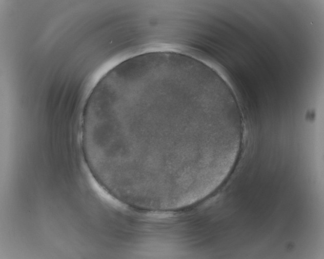 X0000113081143200910091226