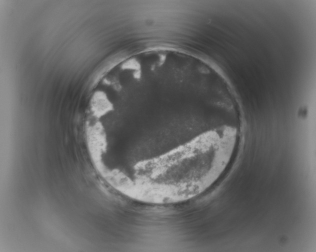 X0000113081145200910091226