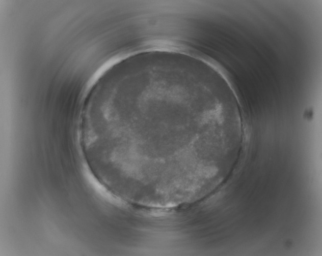 X0000113081147200910091226
