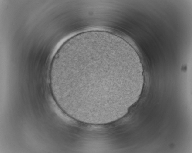 X0000113081148200910091226