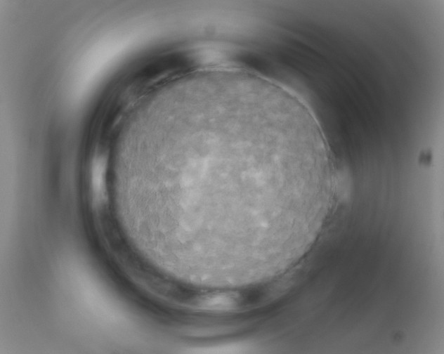 X0000113081150200910091226