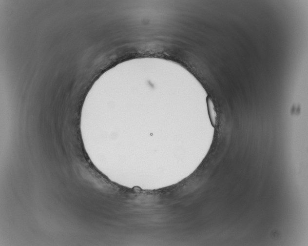 X0000113081153200910091225