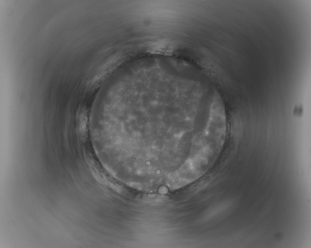 X0000113081154200910091225