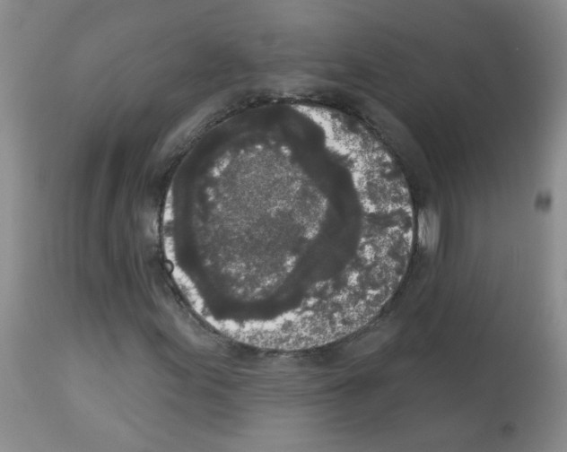 X0000113081155200910091225