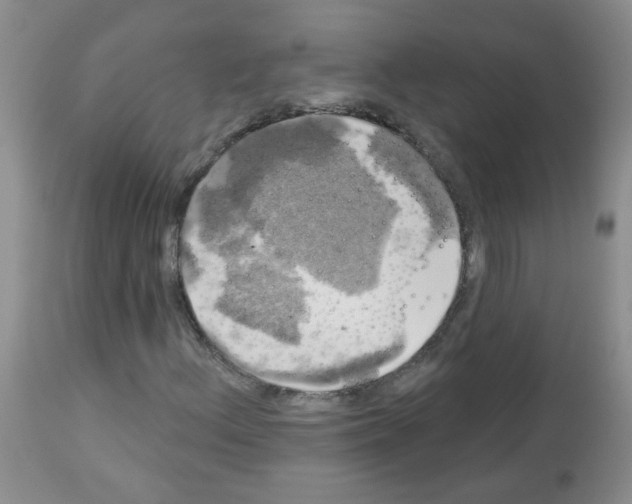 X0000113081156200910091225