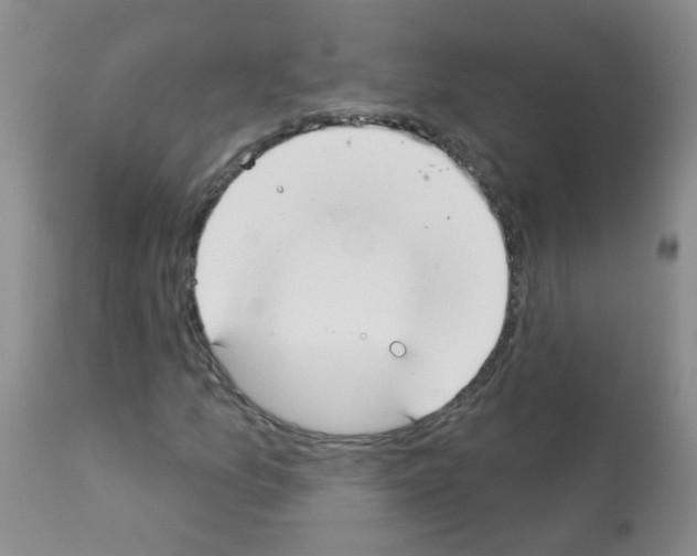 X0000113081157200910091225