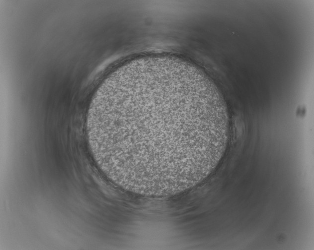 X0000113081158200910091225