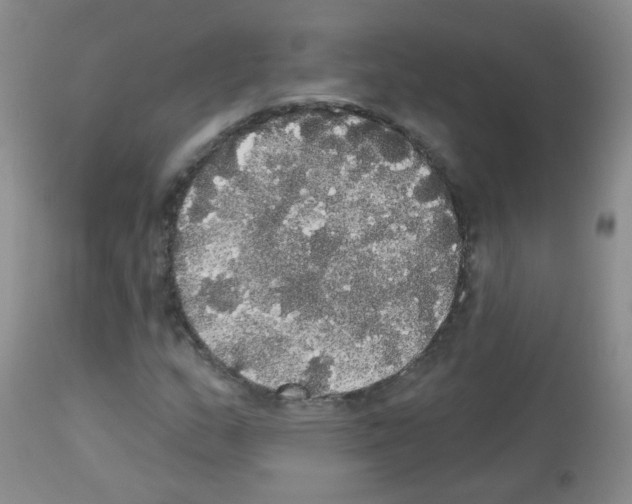 X0000113081159200910091225