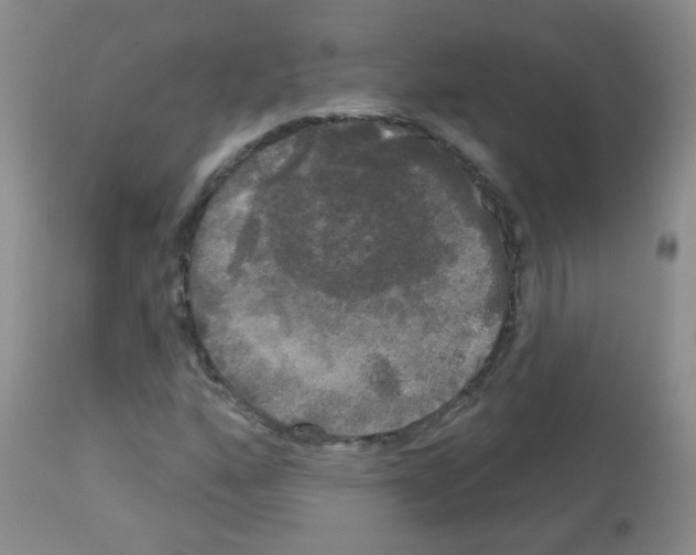 X0000113081160200910091225
