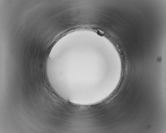 X0000113081161200910091225