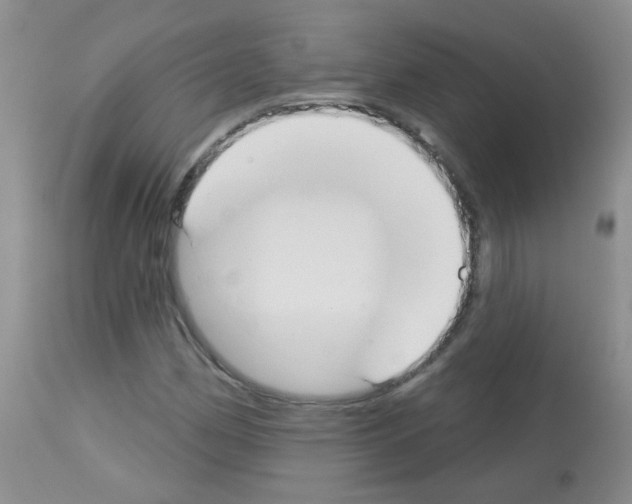 X0000113081162200910091225