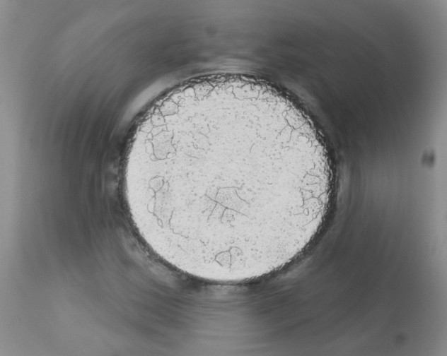 X0000113081163200910091225