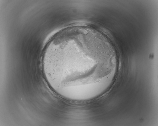 X0000113081164200910091225