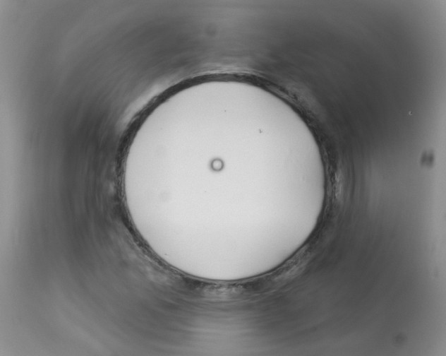 X0000113081165200910091225