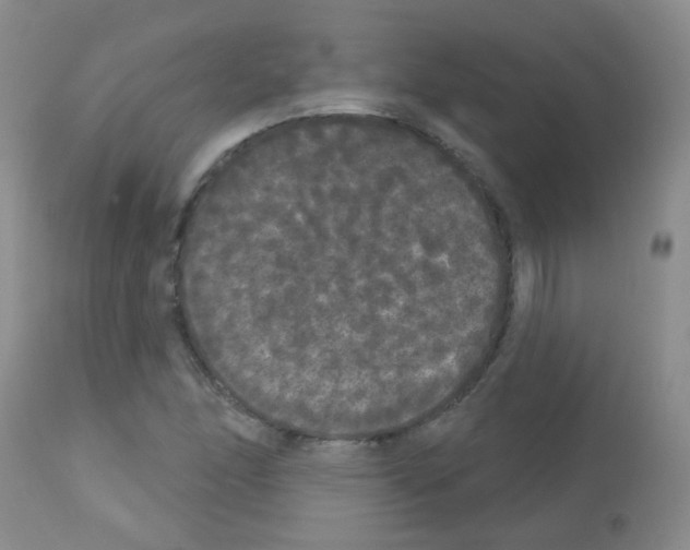 X0000113081166200910091225