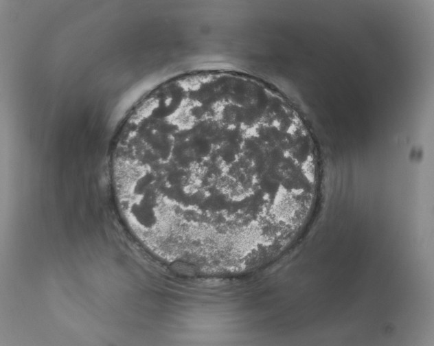 X0000113081167200910091224