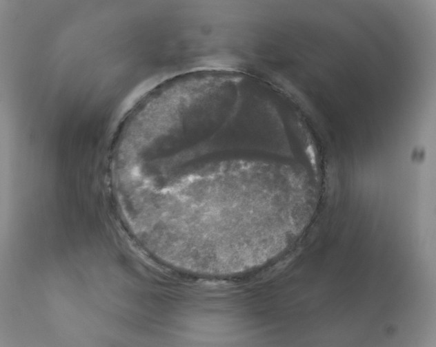 X0000113081168200910091224