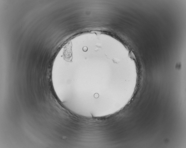 X0000113081169200910091224