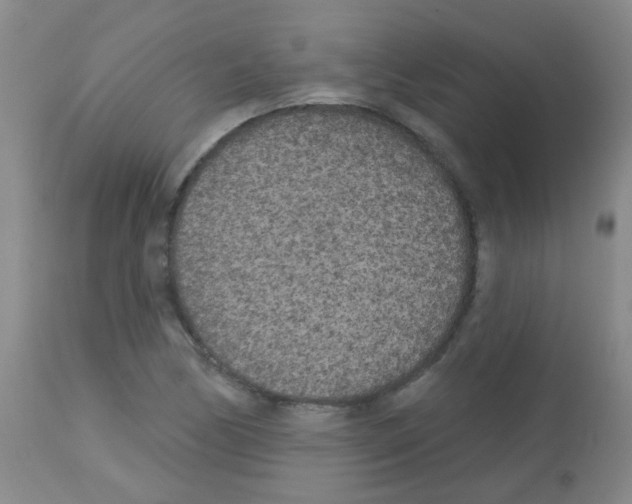X0000113081170200910091224