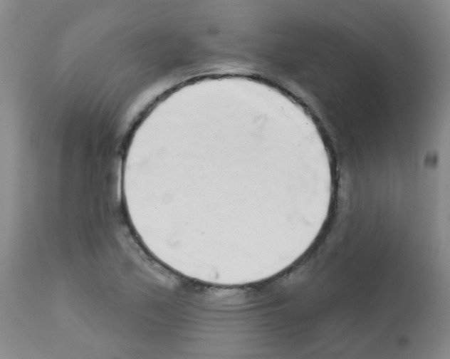 X0000113081171200910091224