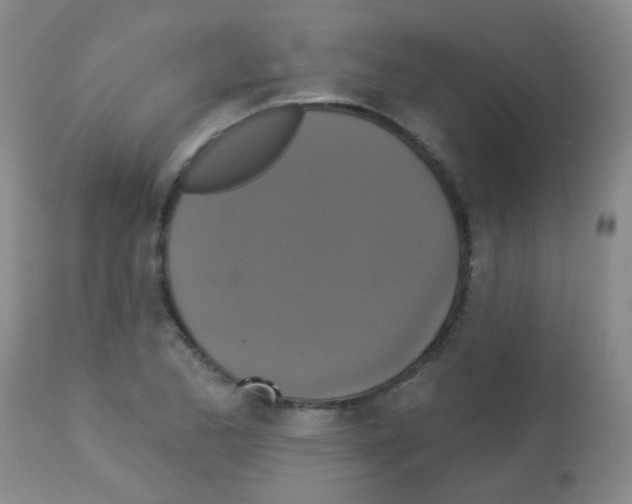 X0000113081173200910091224
