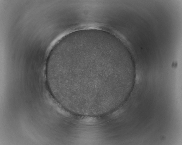 X0000113081174200910091224