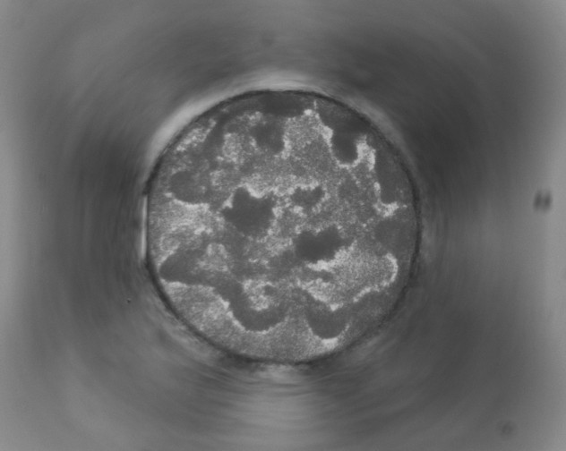 X0000113081175200910091224
