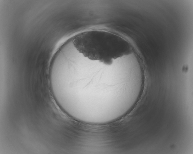X0000113081176200910091224