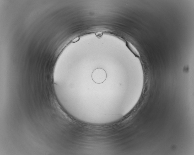 X0000113081177200910091224