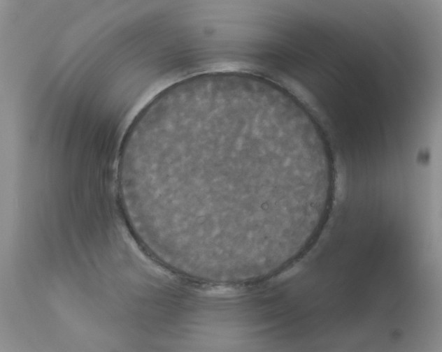 X0000113081178200910091224