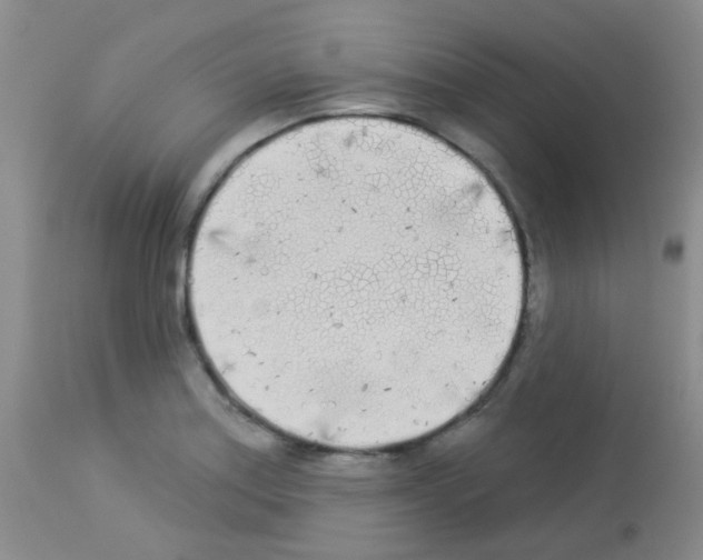 X0000113081179200910091224