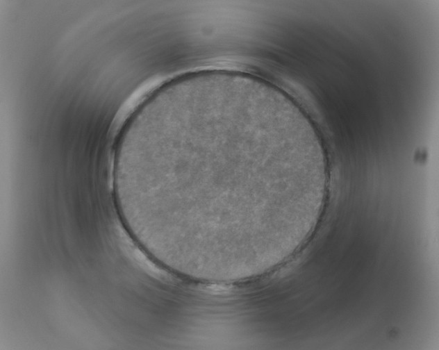 X0000113081180200910091224