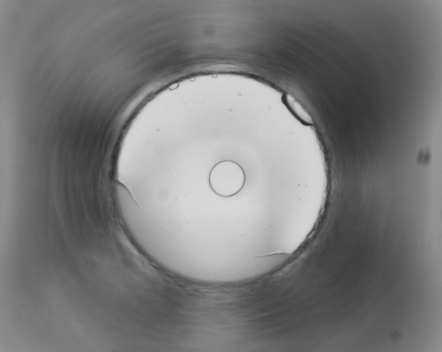 X0000113081181200910091224