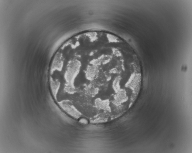 X0000113081183200910091224