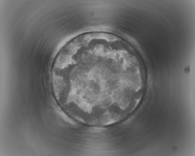 X0000113081184200910091224