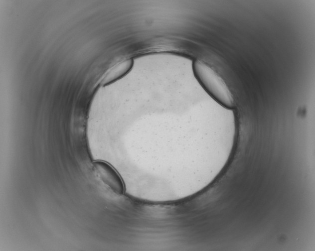 X0000113081185200910091224
