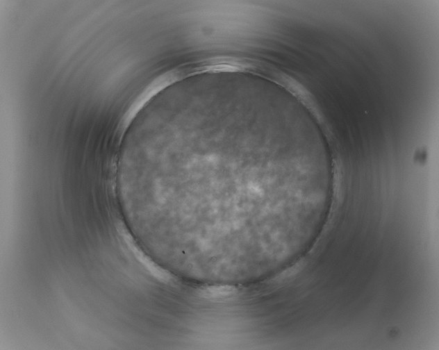 X0000113081186200910091224