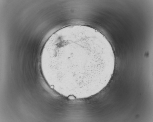 X0000113081187200910091224