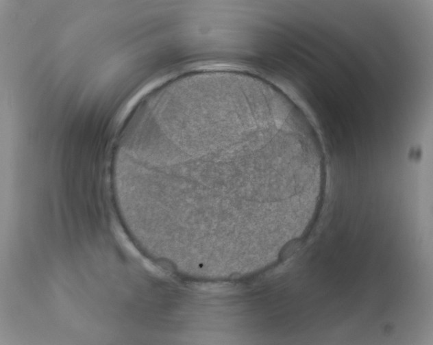 X0000113081189200910091224
