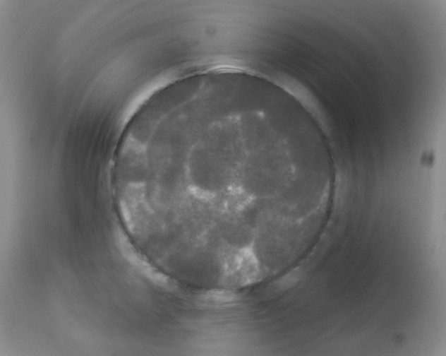 X0000113081190200910091224