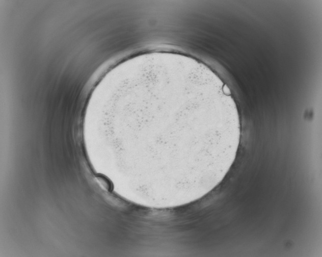 X0000113081191200910091224